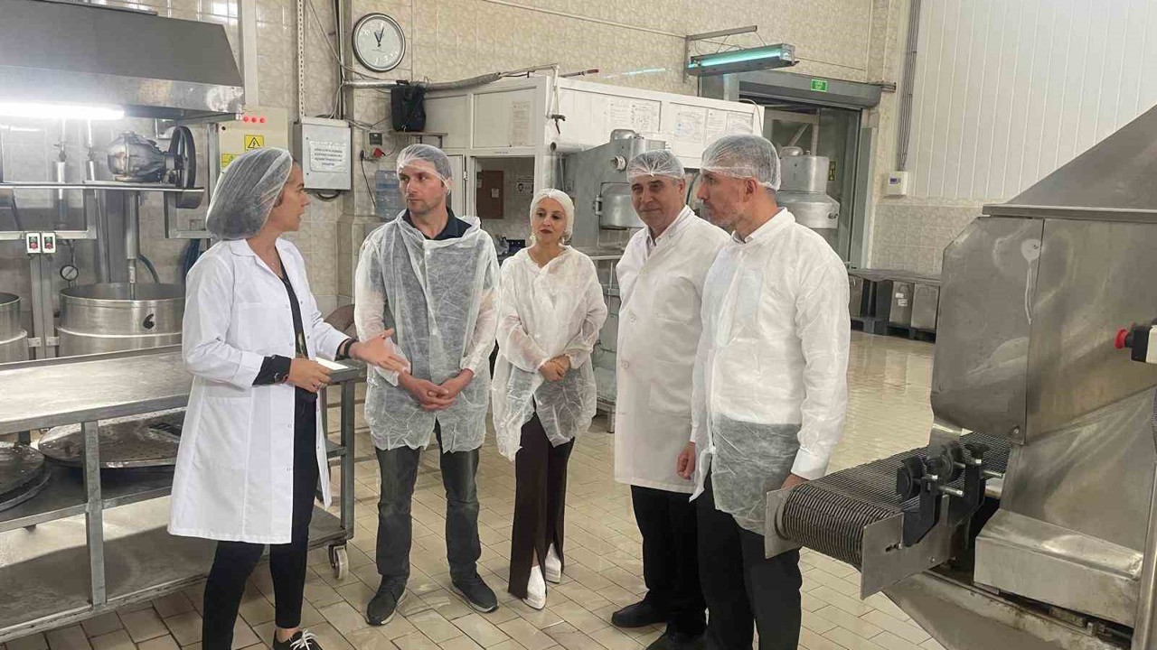 TKDK, ’Kardelen örnek niteliği taşıyor"
