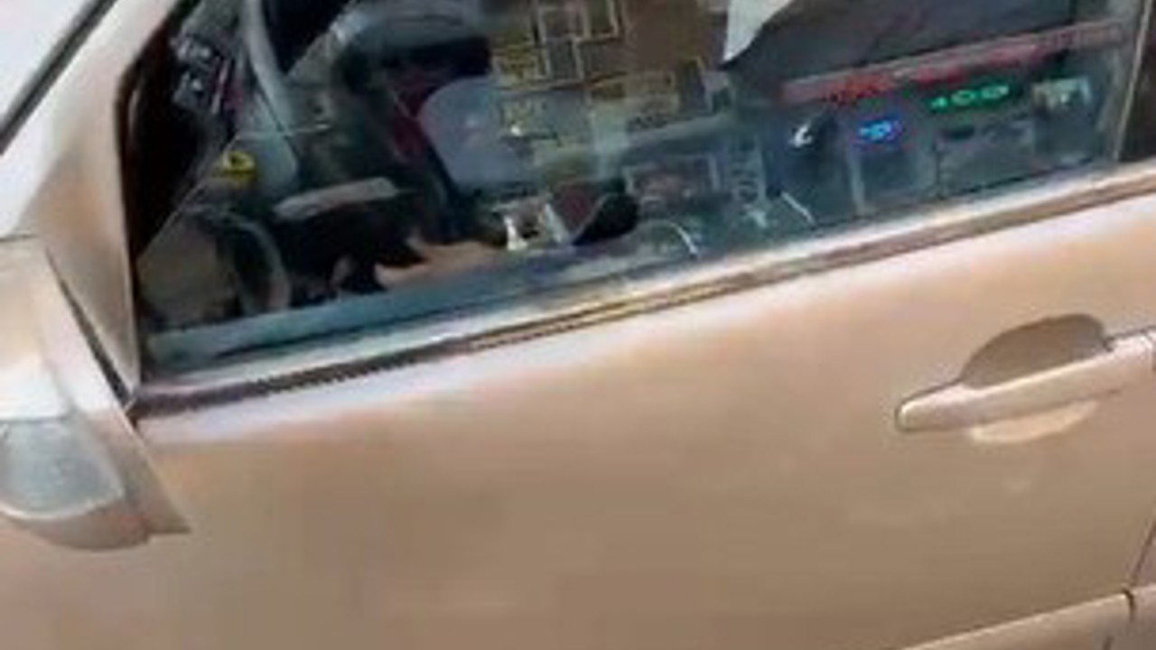 Ters yöne girip "istediğim yerden girerim" dedi: 46 bin TL ceza kesildi
