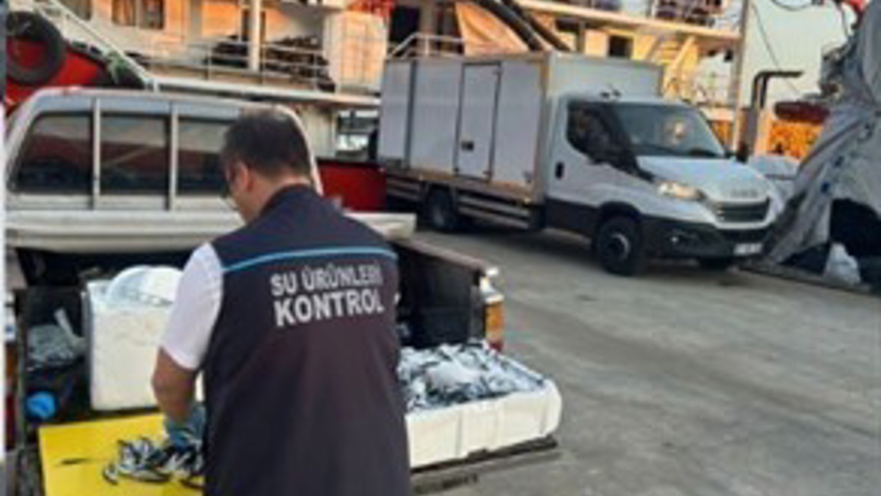 Trabzon’da usulsüz hamsi çıkışına 37 bin TL ceza
