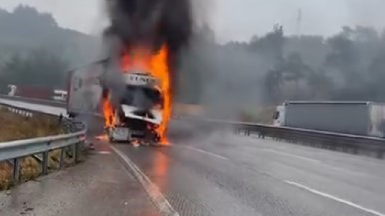 Seyir halindeki tır alev alev yandı
