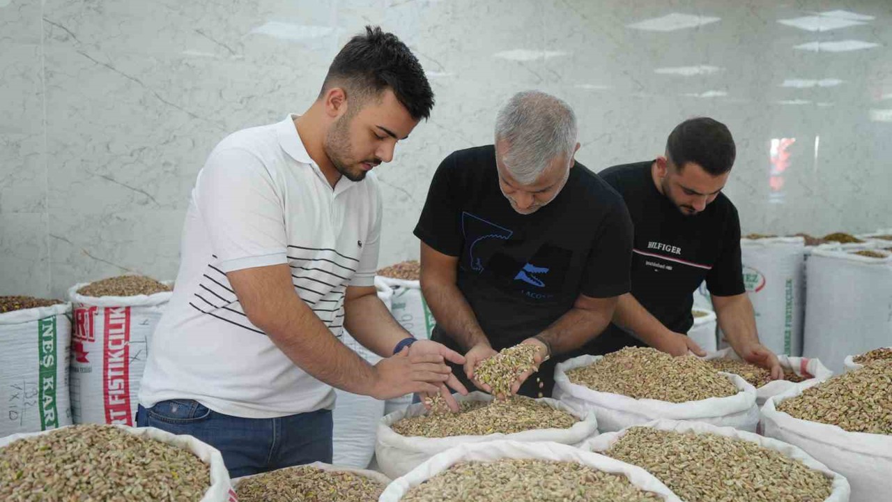 Antep fıstığına ithalat izni çıkınca fiyatlar ve satışlar düştü
