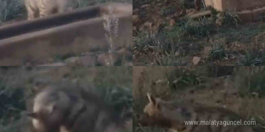 Yaşam