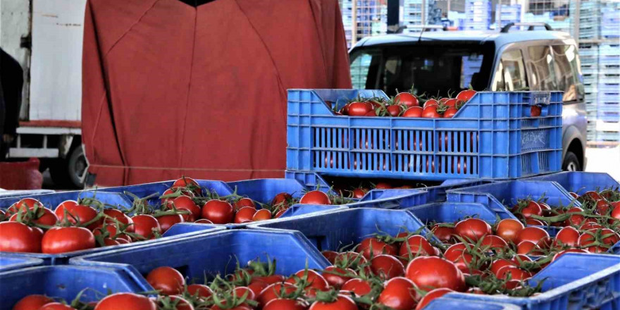 Antalya’da domates miktarı yıllık endekste yüzde 4,32 arttı