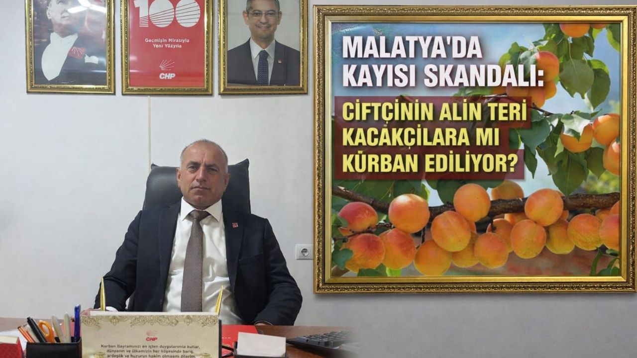 MALATYA’DA KAYISI SKANDALI: ÇİFTÇİNİN ALIN TERİ KAÇAKÇILARA MI KURBAN EDİLİYOR?"