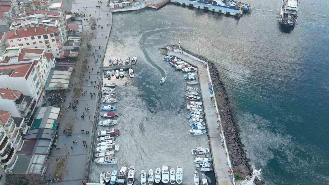 Arıtma sistemlerinin geliştirilmesi hem müsilajın çözümüne hem tarıma katkı sağlayacak
