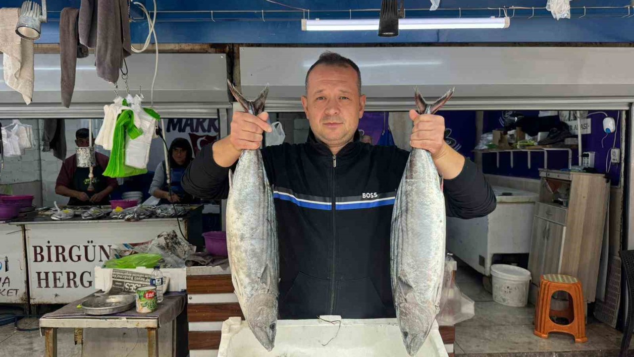 Bandırma Balık Hali’nde sezon hareketliliği başladı
