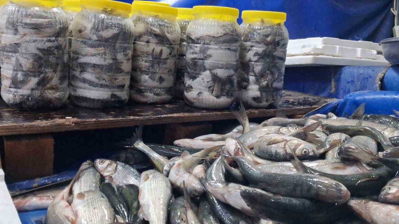 Van’da havaların soğumasıyla inci kefaline ilgi arttı

