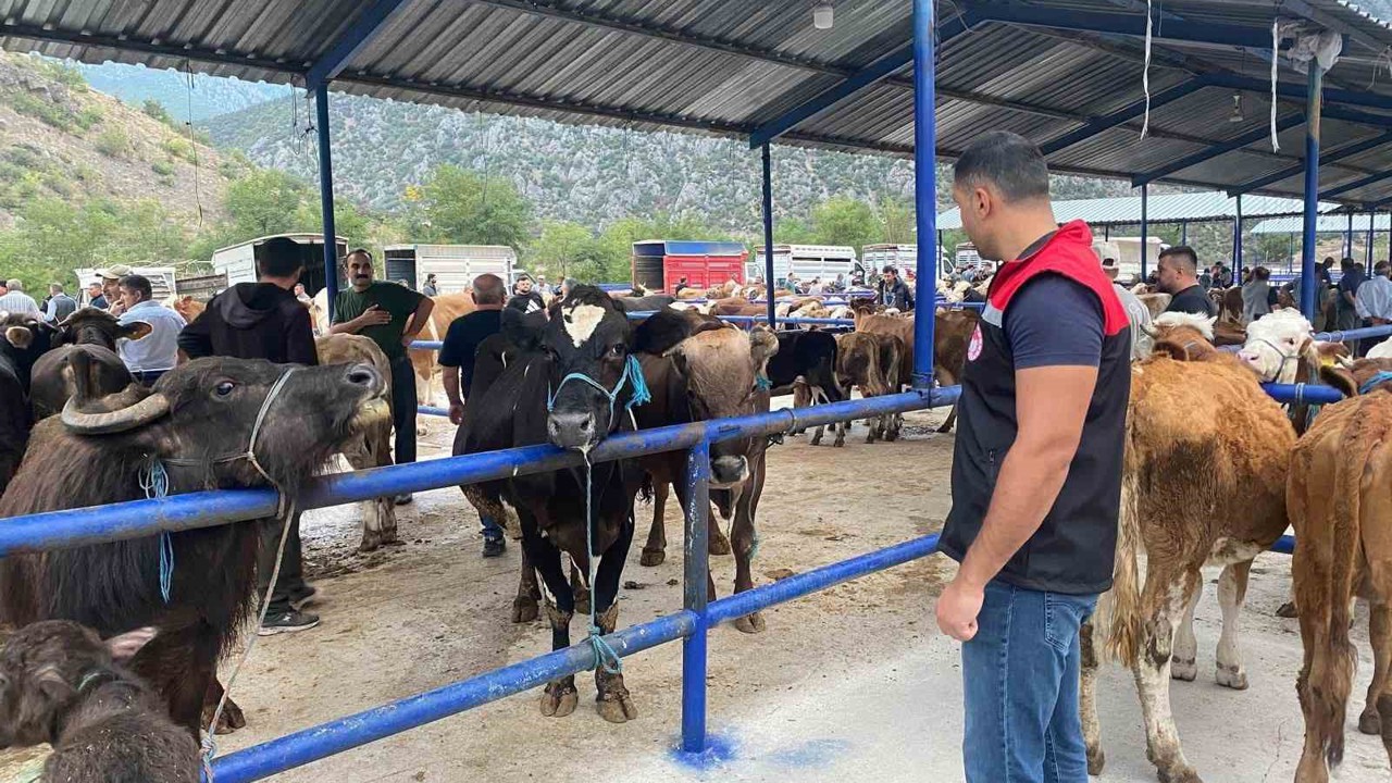 Hayvan pazarı şap hastalığı nedeniyle kapatıldı
