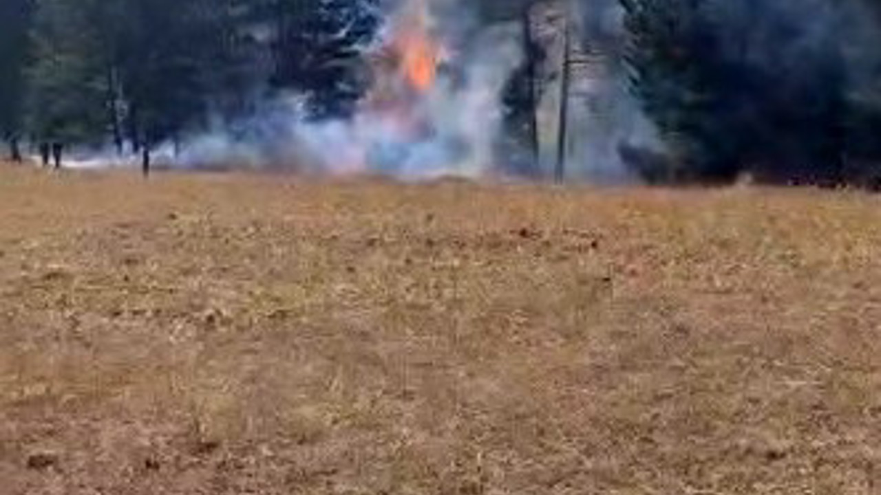 Sarıkamış ormanlarında örtü yangını
