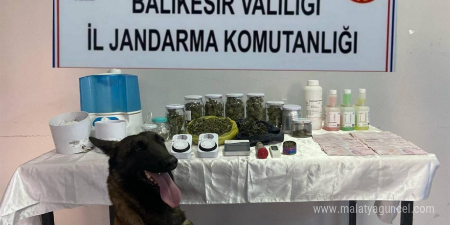 Asayiş