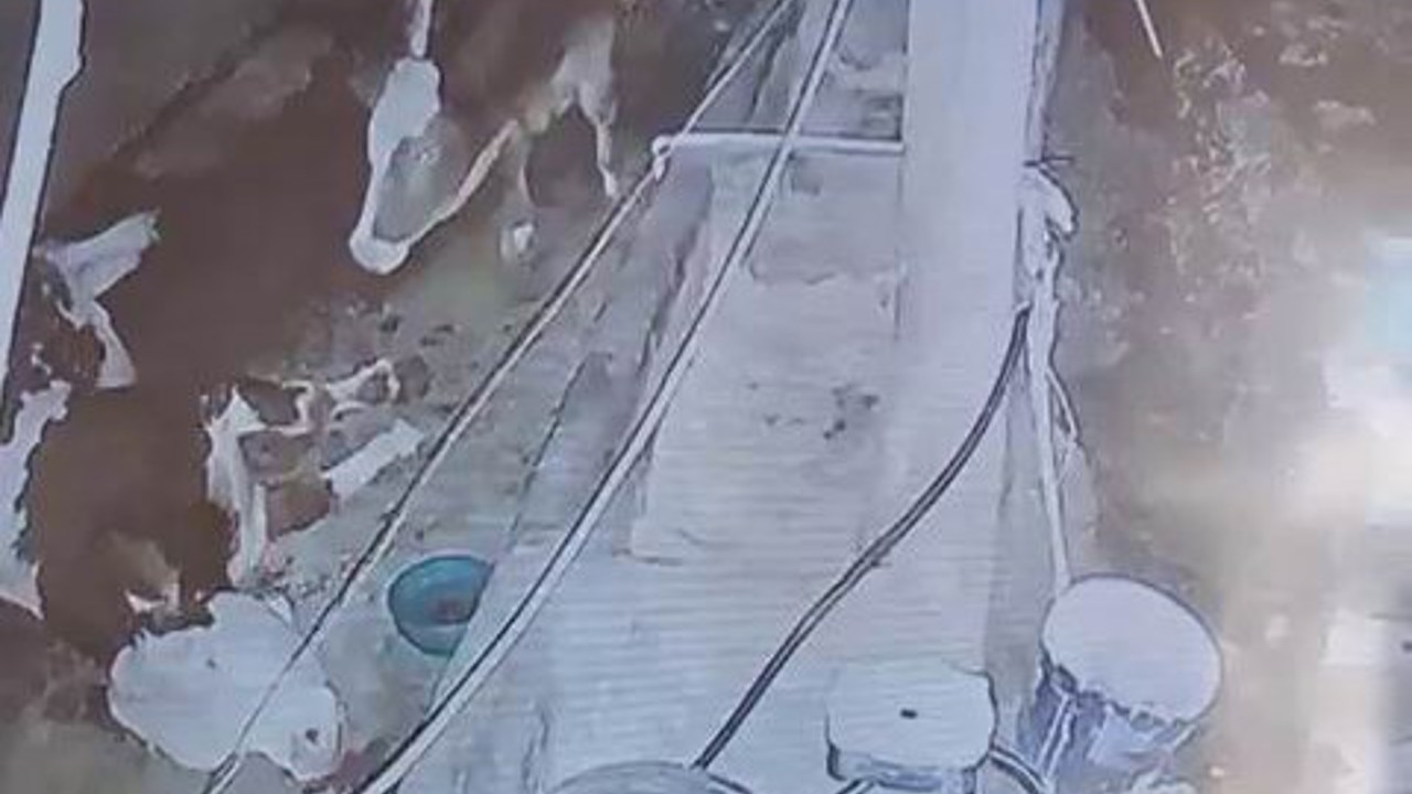 Diyarbakır’da yıldırım hayvan çiftliğine isabet etti: 3 inek telef oldu
