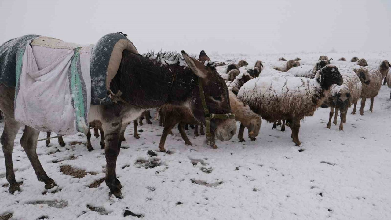 Göçerler kara yaylada yakalandı
