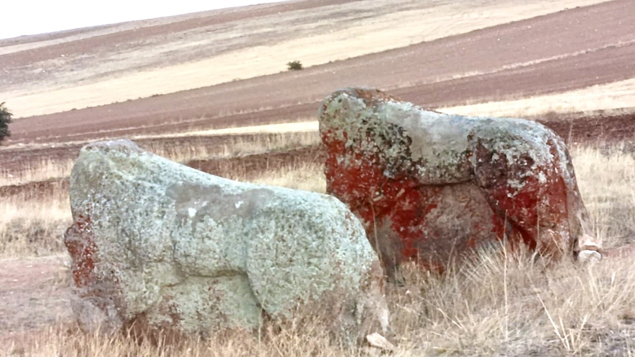 Bozkurt'tan Aslantaş Kararına Tepki: “Üç Bin Yıldır Kendini Koruyan Aslanı Kimse Götüremez”