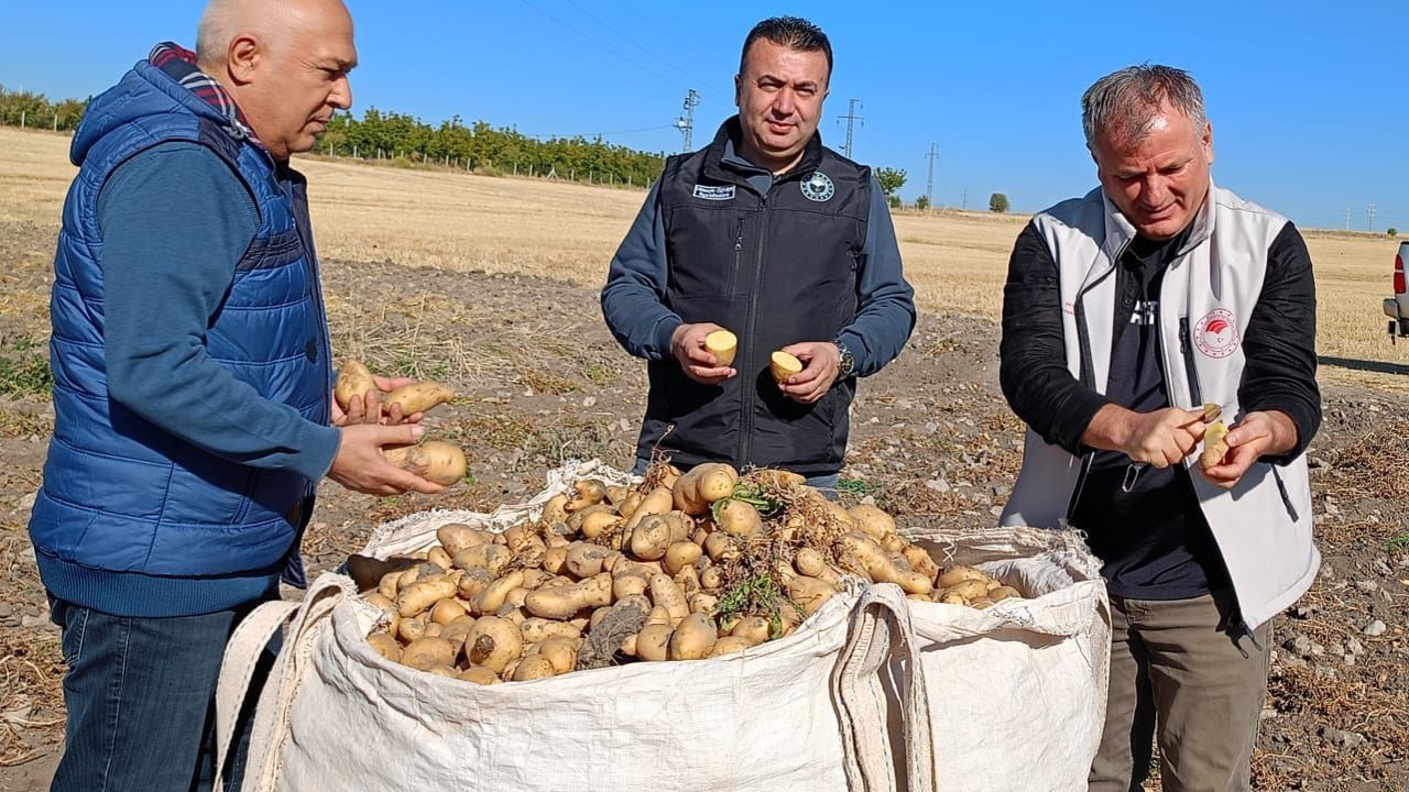Beyşehir’de patates üreticisinin artan üretimle yüzü güldü
