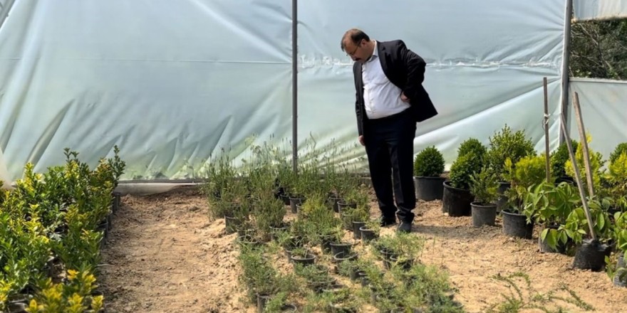 Belediye Başkanı Doğan:  'Ata tohumlarına sahip çıkıyoruz”