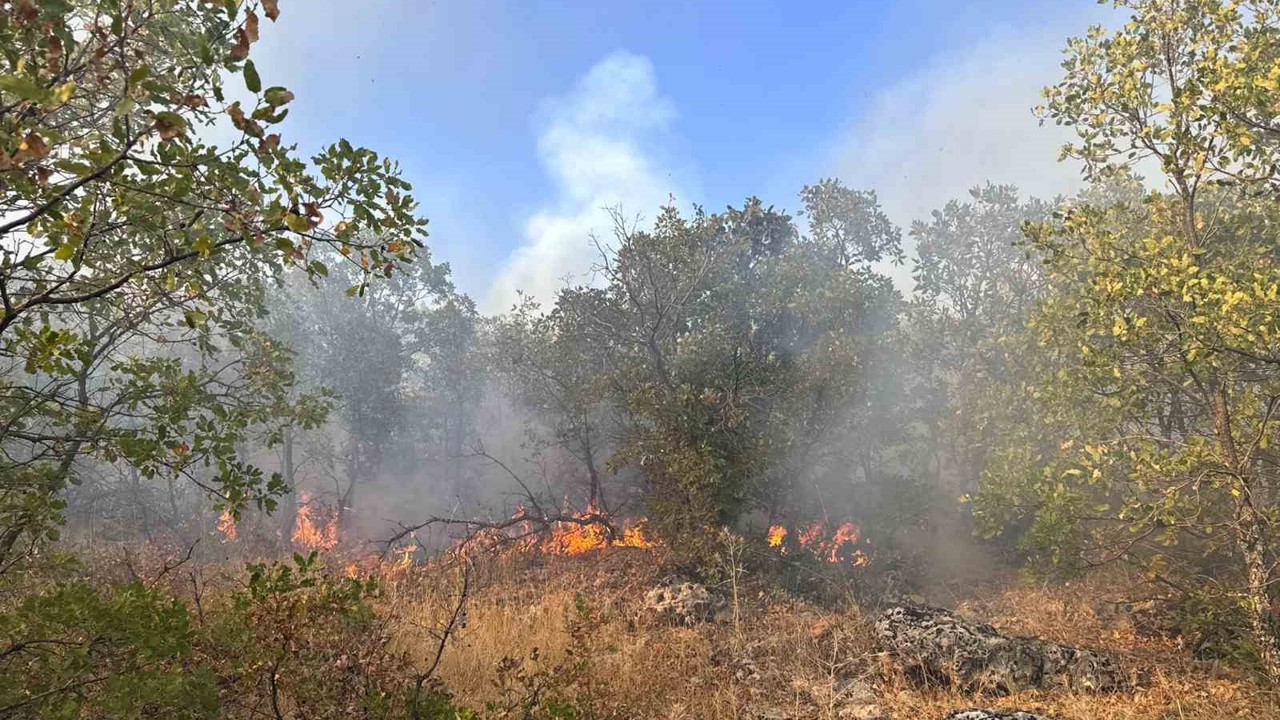 Diyarbakır’da örtü yangını 7 saat sonra helikopter desteğiyle söndürüldü
