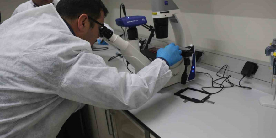 Bitlis Eren Üniversitesinde ‘Hücre Kültürü’ laboratuvarı kuruldu