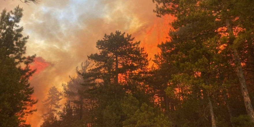 Bursa’daki orman yangını 50 dekarlık alanda etkili oluyor