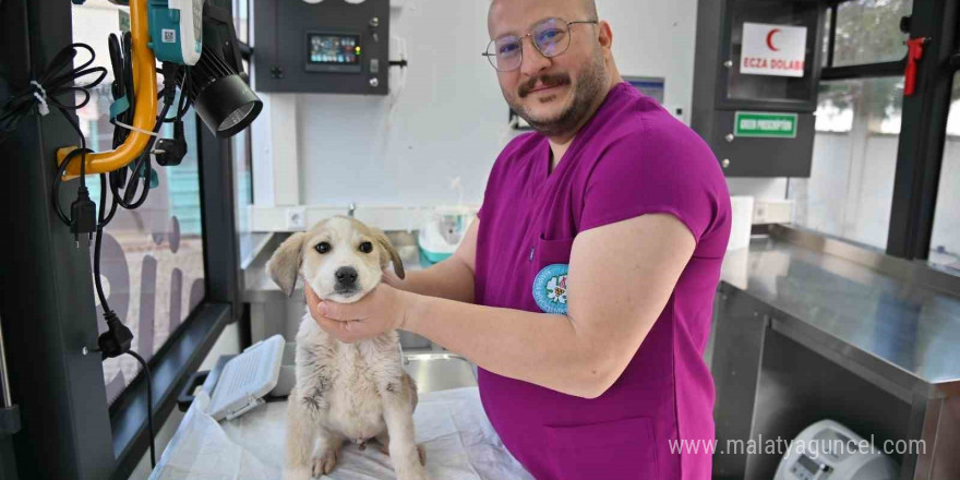 Yaşam