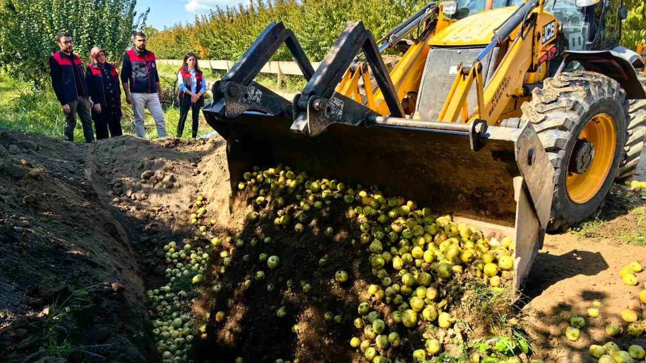 Bursa’da pestisite geçit yok
