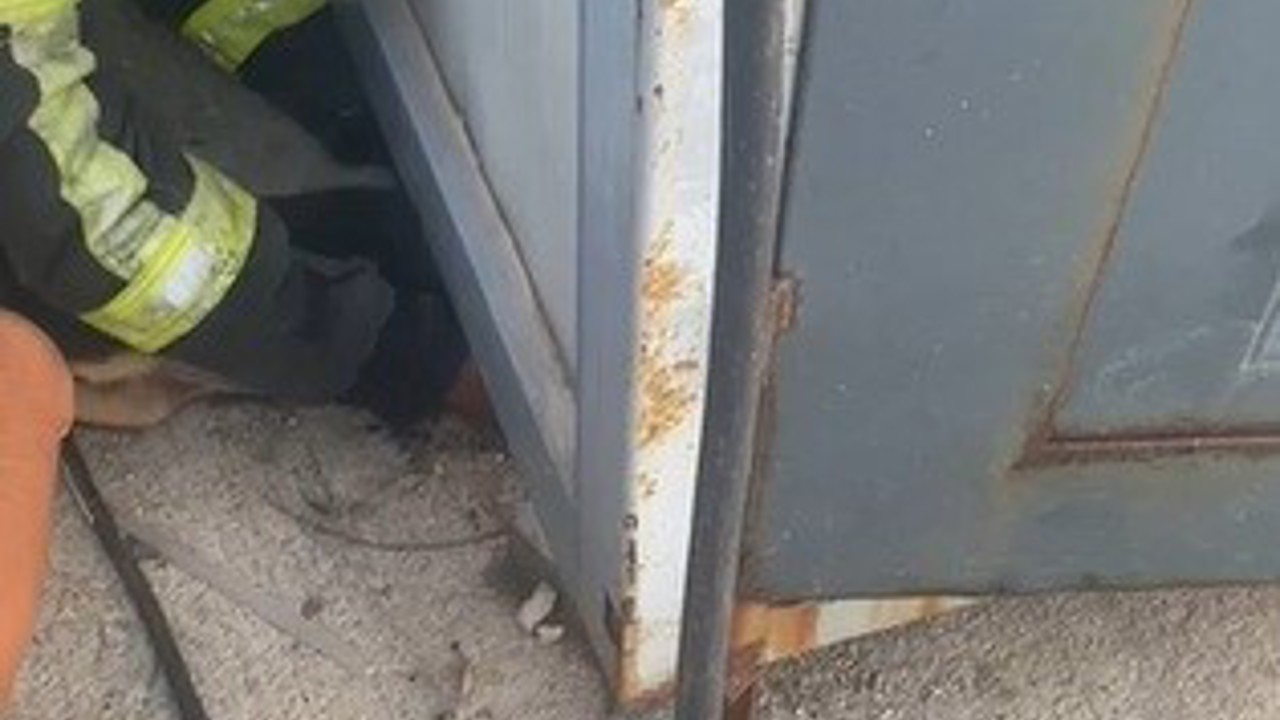 Konteyner altında sıkışıp mahsur kalan yavru köpeği itfaiye ekipleri kurtardı
