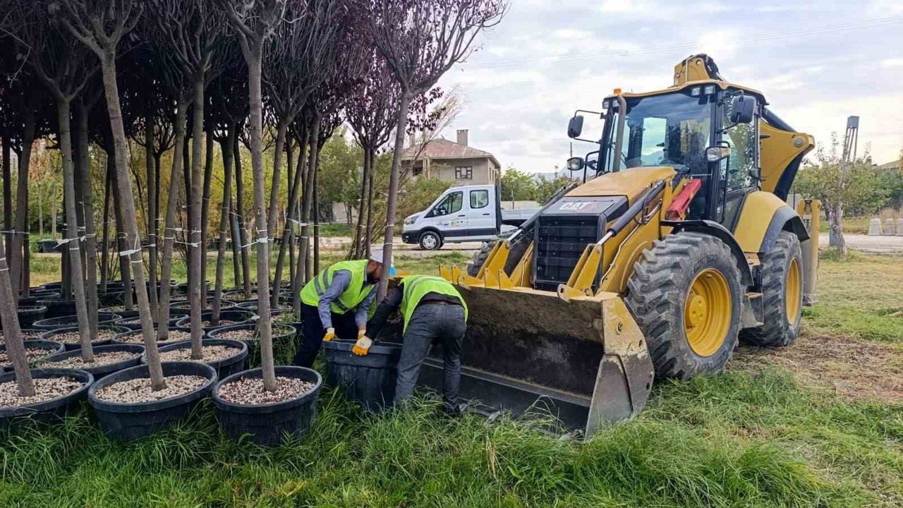 Van Büyükşehir Belediyesinden yeşillendirme çalışması
