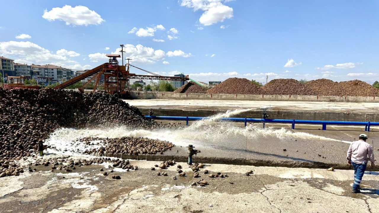 Türkiye Şeker Fabrikaları, 2025-2026 Üretim Yılı Pancar Alım Fiyatını Açıkladı