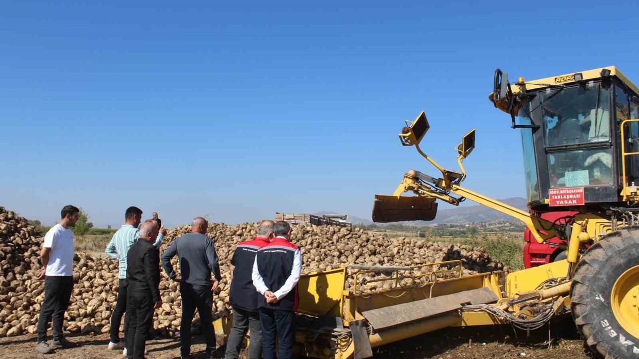 Pazar bölgesinde 450 bin tonluk pancar hasadı hedefleniyor
