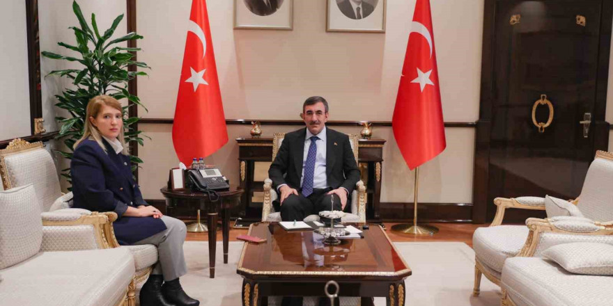 Cumhurbaşkanı yardımcısı, Malatya Milletvekili Ölmeztoprak ile görüştü