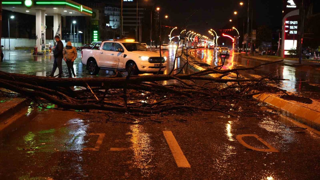 Edirne’de sağanak yağış ve rüzgar, ağacı devirdi
