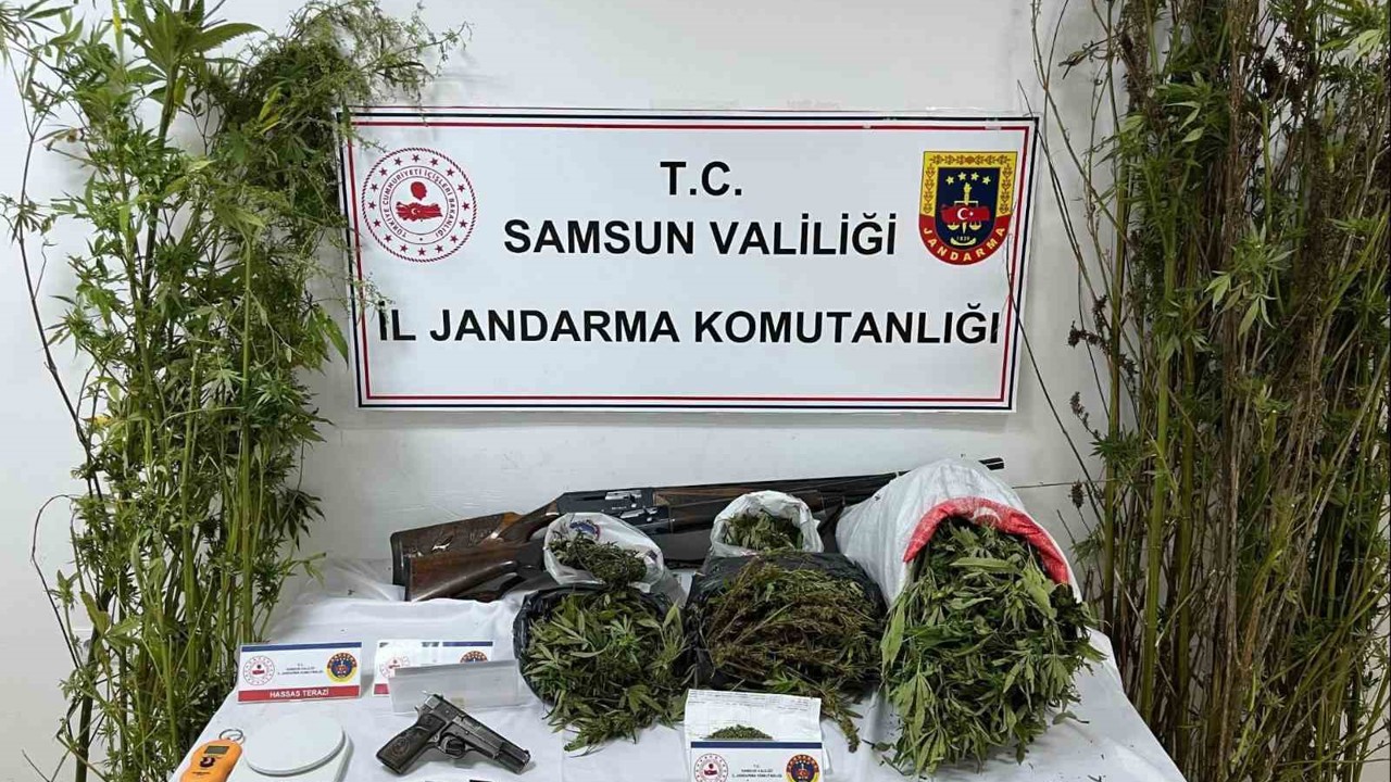 Jandarmadan uyuşturucu operasyonu: Esrar, kenevir ve silah ele geçirildi
