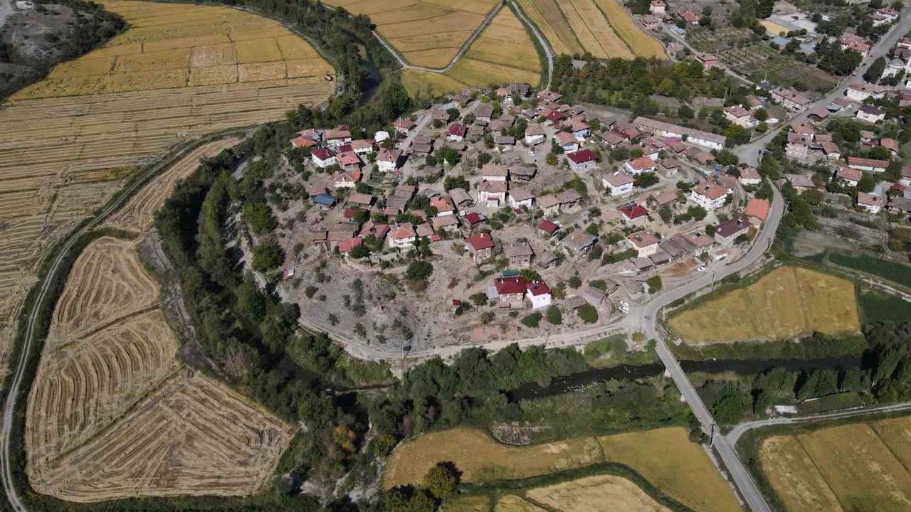 Coğrafi işaretli Tosya pirincinde susuzluk sebebiyle istenilen rekolteye ulaşılamadı
