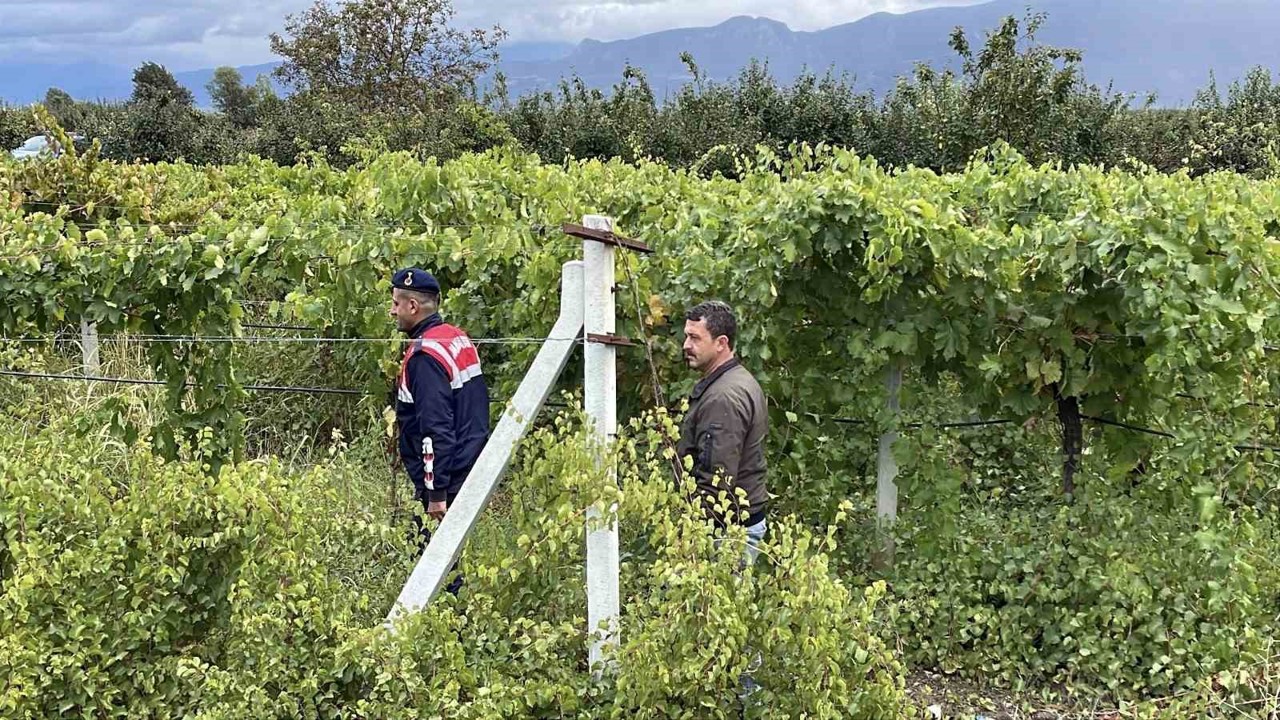 Bir yıllık emekleri çalınmasın diye gece gündüz nöbet tutuyorlar
