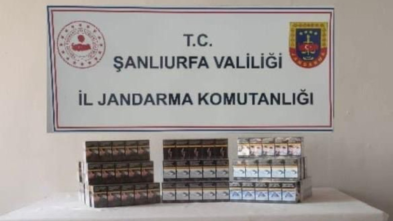 Şanlıurfa’da gümrük kaçağı 910 paket sigara ele geçirildi
