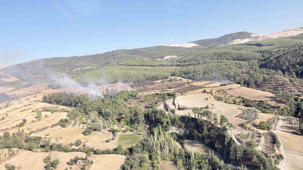 Kavaklıdere-Bozdoğan sınırındaki yangın kısa sürede söndürüldü
