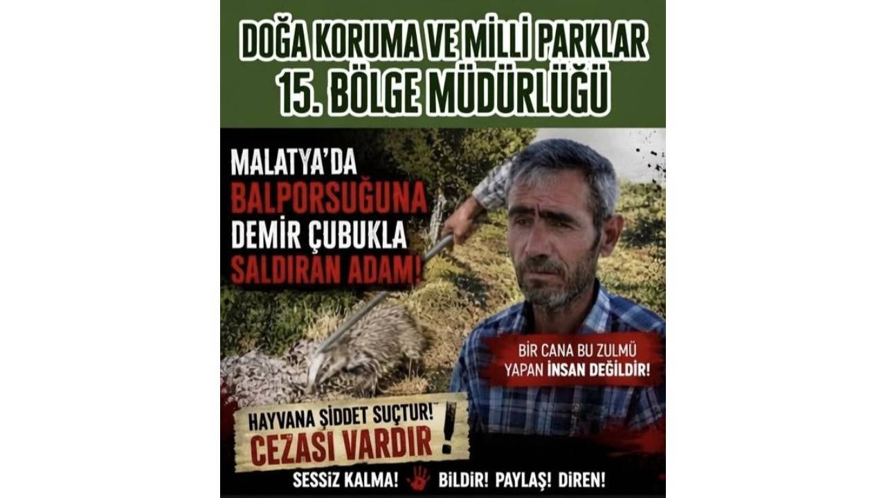 KAMUOYUNDAN GİZLENEN ŞİDDET: DKMP 15. BÖLGE MÜDÜRLÜĞÜ KİMİ KORUYOR?