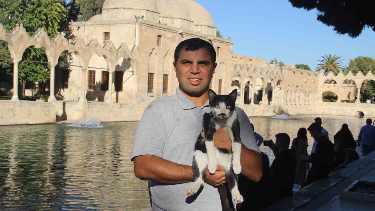 Balıklıgöl’e düşen kedi kalp masajıyla hayata döndü
