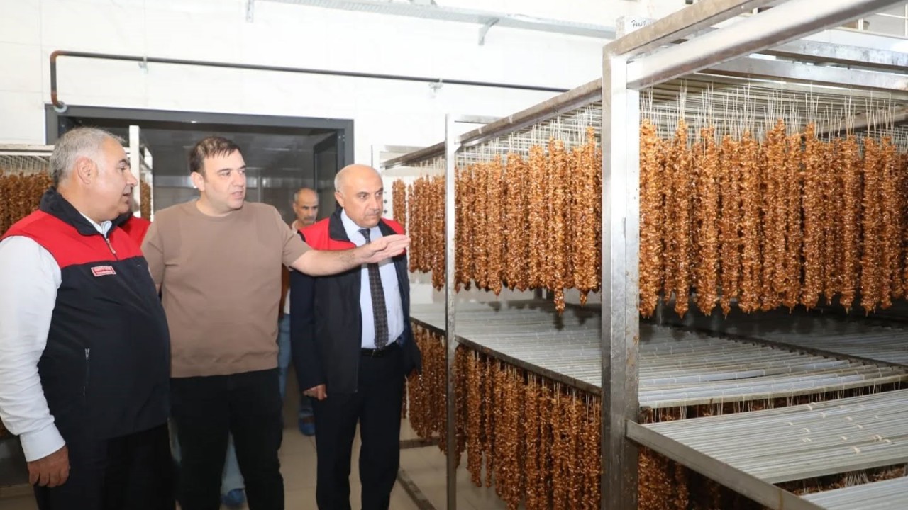 Elazığ’da hibe desteği alan işletmeler denetlendi
