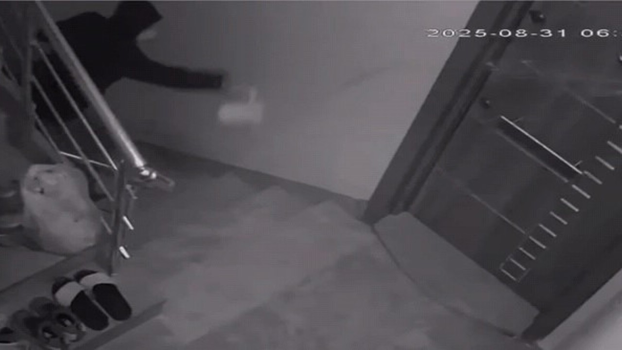 Komşularını canından bezdirdi
