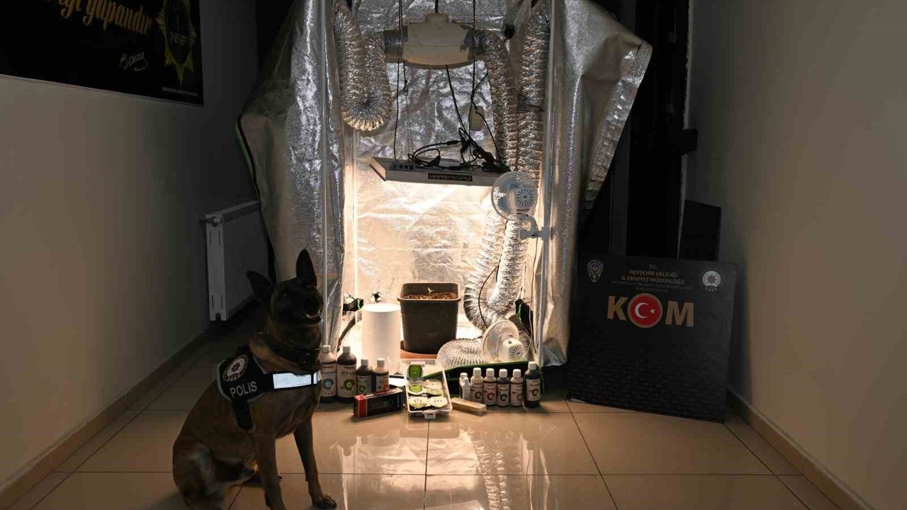 Test sonuçlarına para karşılığı müdahale: 20 gözaltı
