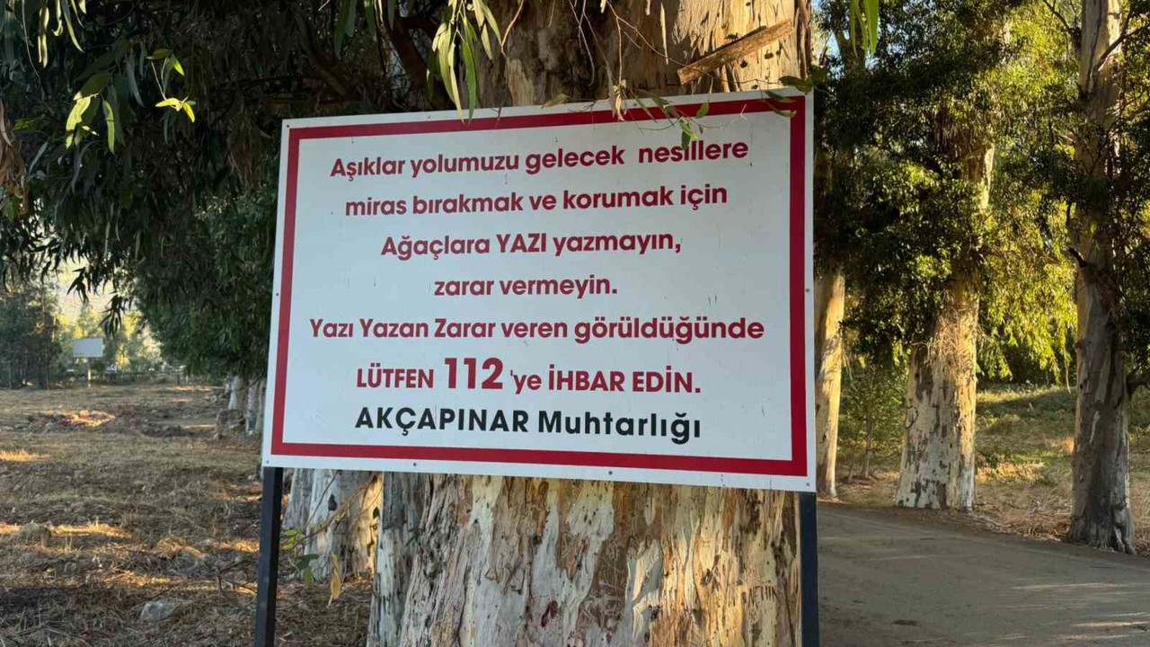 Ağaçlara yazı yazanları tabela ile uyardı
