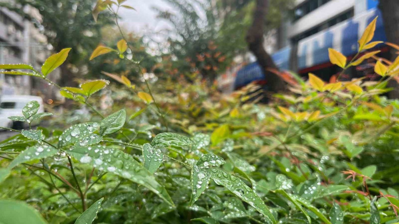 Kuraklıkla mücadele eden İzmir’de yağmur serinliği
