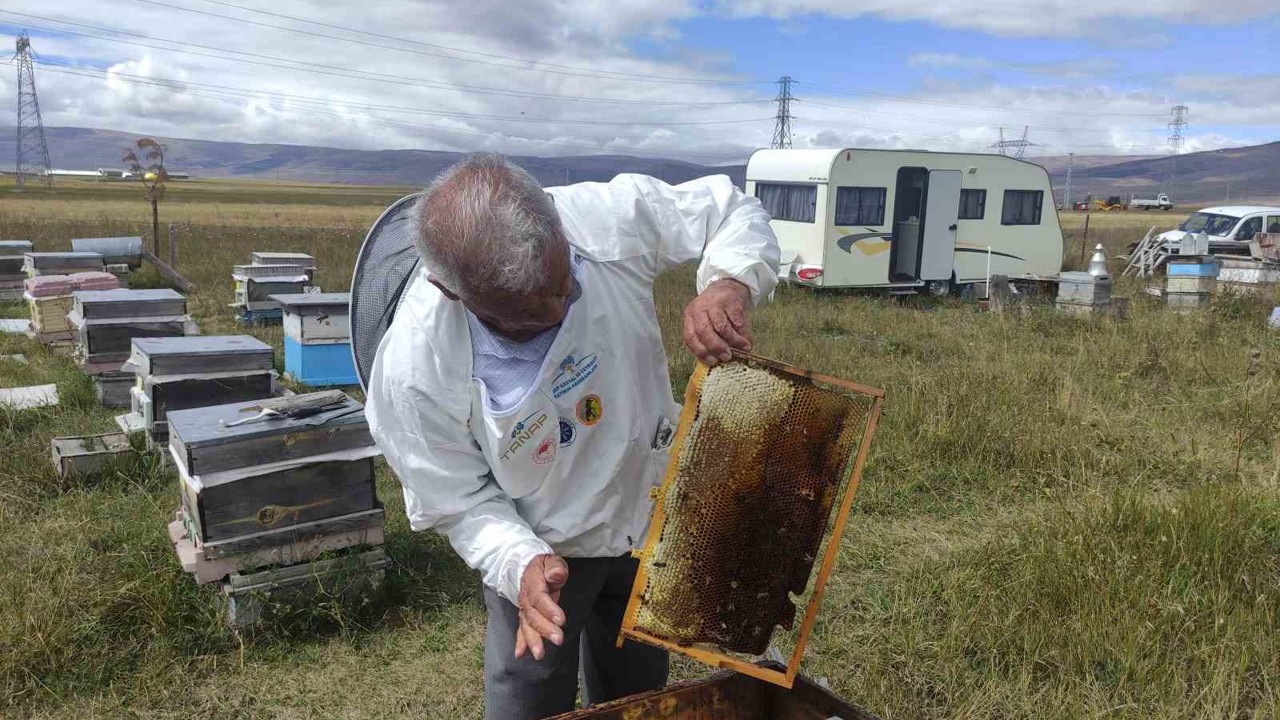 Arıcılar Birliği Başkanı Evliyaoğlu: "Arıcılıkta sonbahar bakımı ve kışlatma çok önemli"
