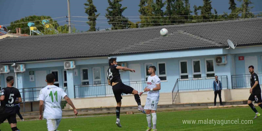 Spor
