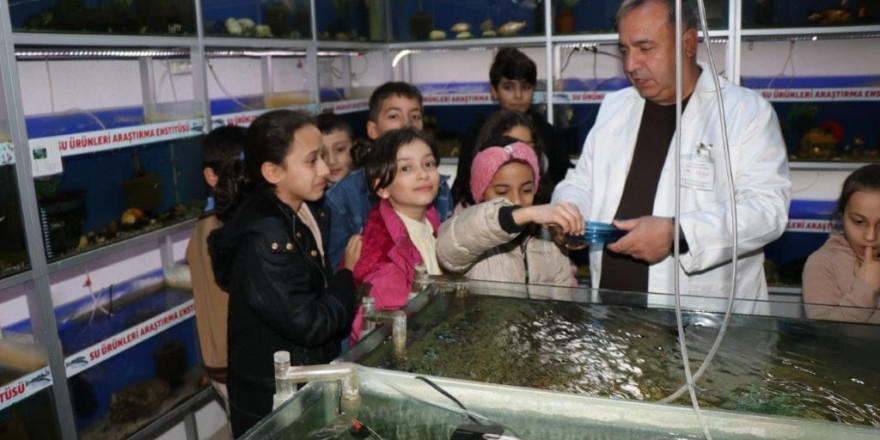 Elazığ’da öğrenciler Balık Müzesini gezdi