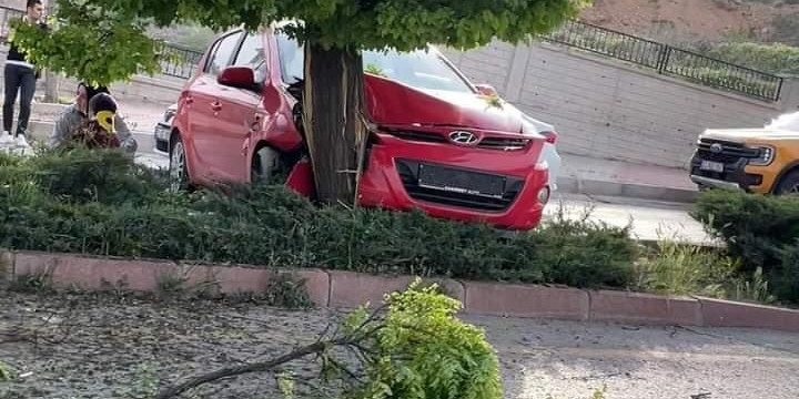 Elazığ’da otomobil ağaca çarptı: 3 yaralı