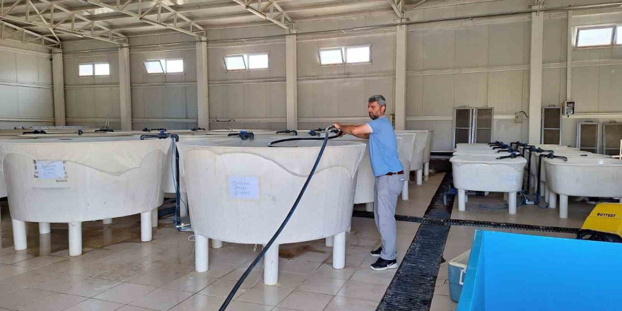 Elazığ’da Su Ürünleri Ar-Ge Merkezi’nde üretim çalışmaları sürüyor