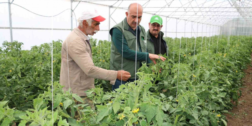 Erzincan son yıllarda yapılan yatırımların meyvelerini toplamaya başladı
