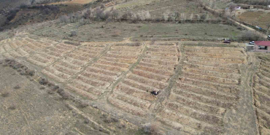 Erzincan’da çiftçilere tarla okulu eğitimi verildi