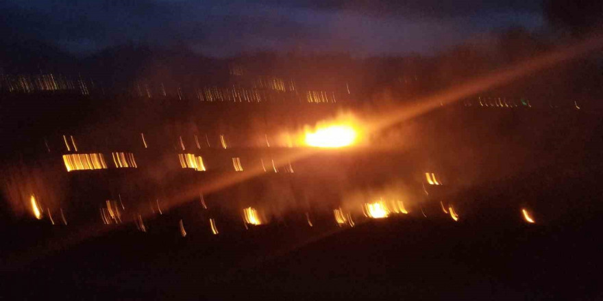 Erzincan’da örtü yangını korkuttu